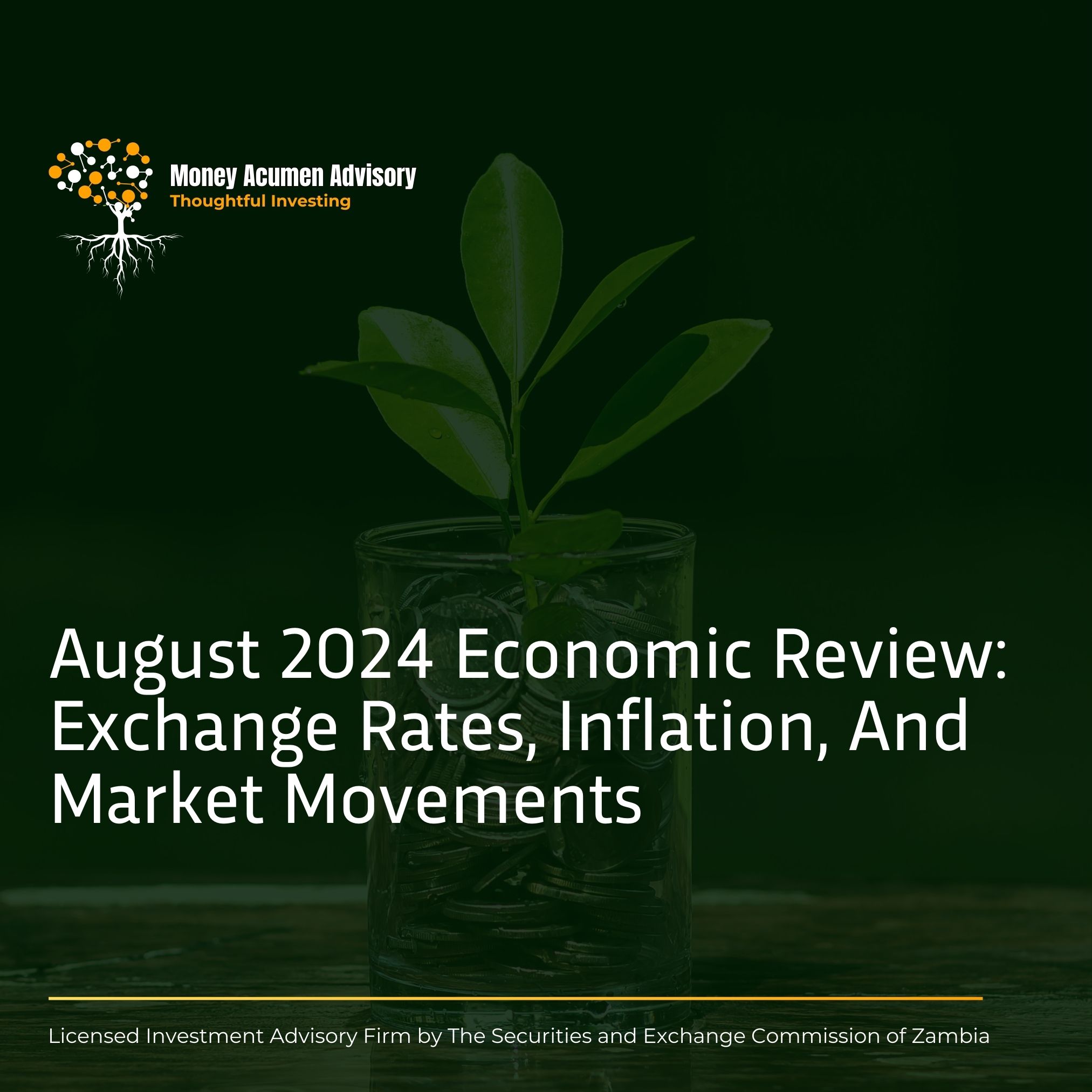 Read more about the article AUGUST 2024 ECONOMIC REVIEW: EXCHANGE RATES, INFLATION, AND MARKET MOVEMENTS