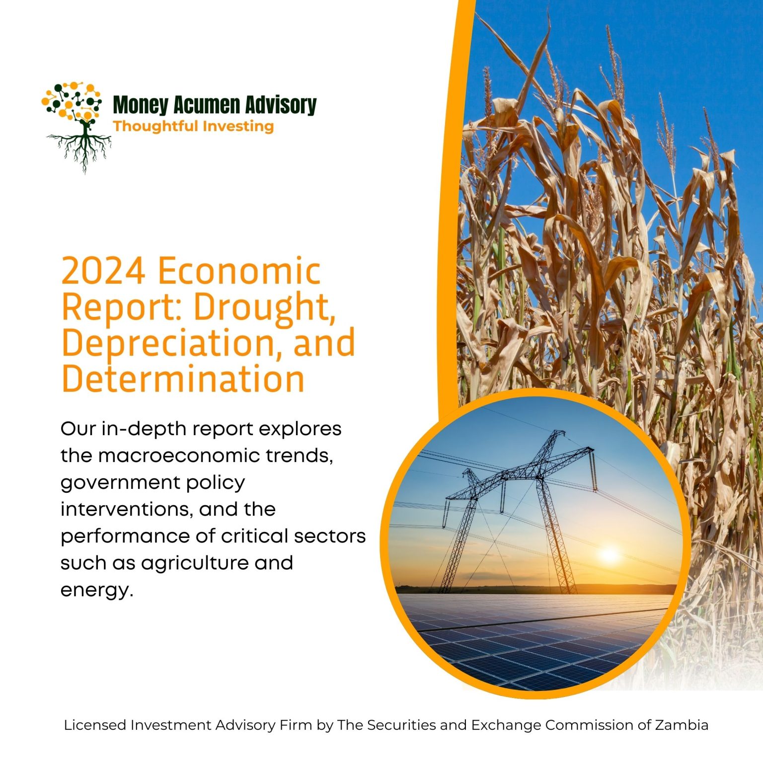 Read more about the article 2024 Economic Report: Drought, Depreciation, and Determination